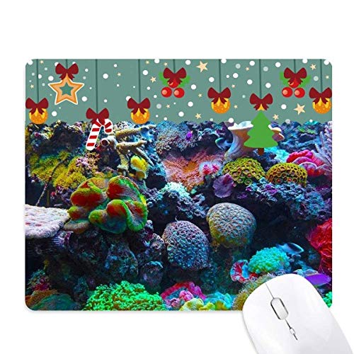 I[VJtTSTCGXRʐ^}EXpbh Q[ItBX}bg NX}XSpbh