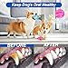 Pawaboo Dog Cooling Chew Toys, 2 Pack Freezable Pet Teething Toys for Puppies for Summer Cooling, Dog Freezer Chewing Ice Toys for Teeth Cleaning, Reusable Puppy Frozen Toys Relieve Dental Discomfort
