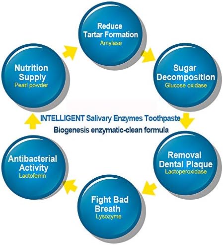 enzymatic toothpaste for humans
