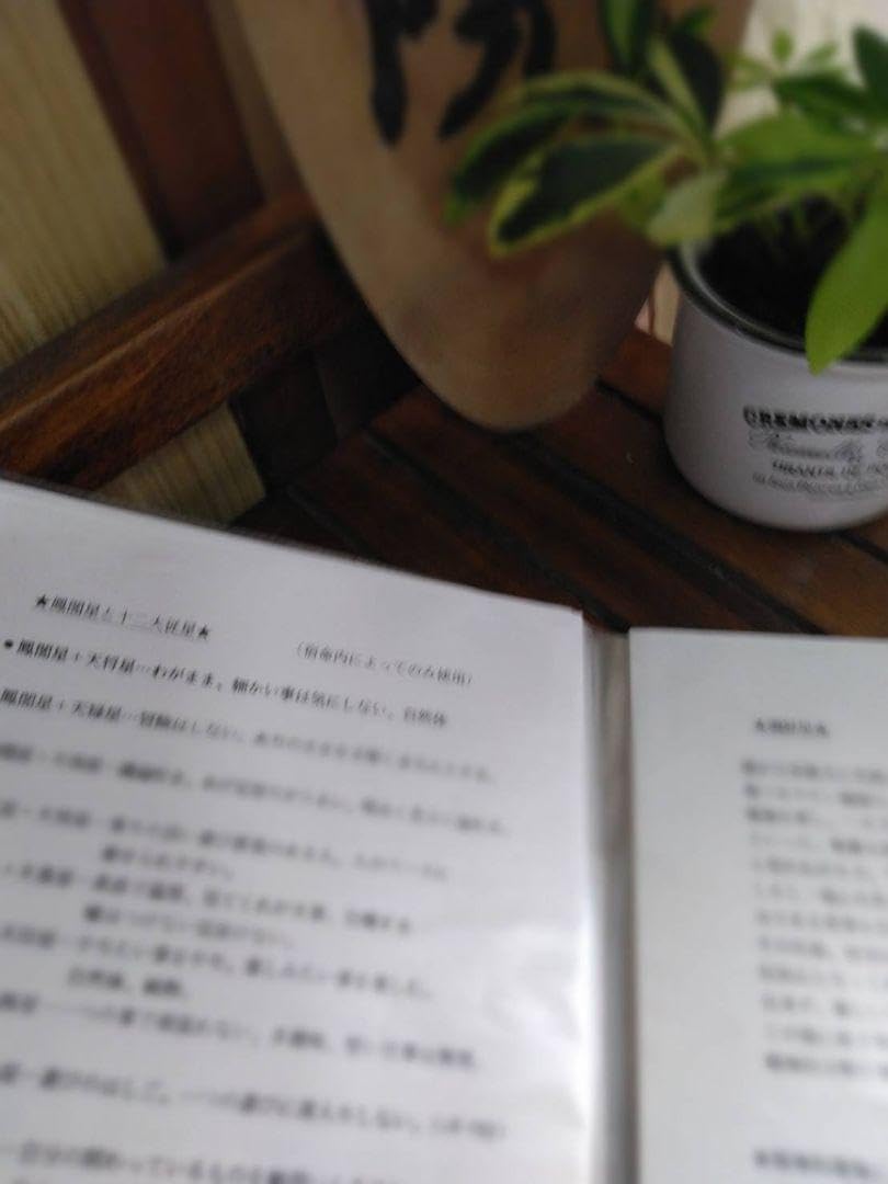 【jindemi様ご予約品です】算命学教材【六十花甲子】【十大主星と十二大従星】 jindemi様ご予約品です】算命学教材【六十花甲子】【十大主星