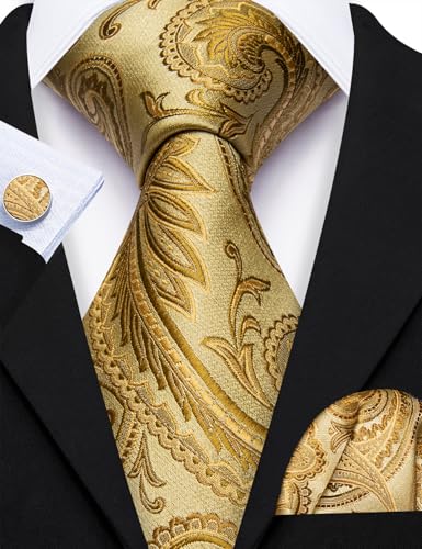 Image of Barry.Wang Paisley Tie Fashion Set Hanky Cufflinks Neckties for Men Woven Silk