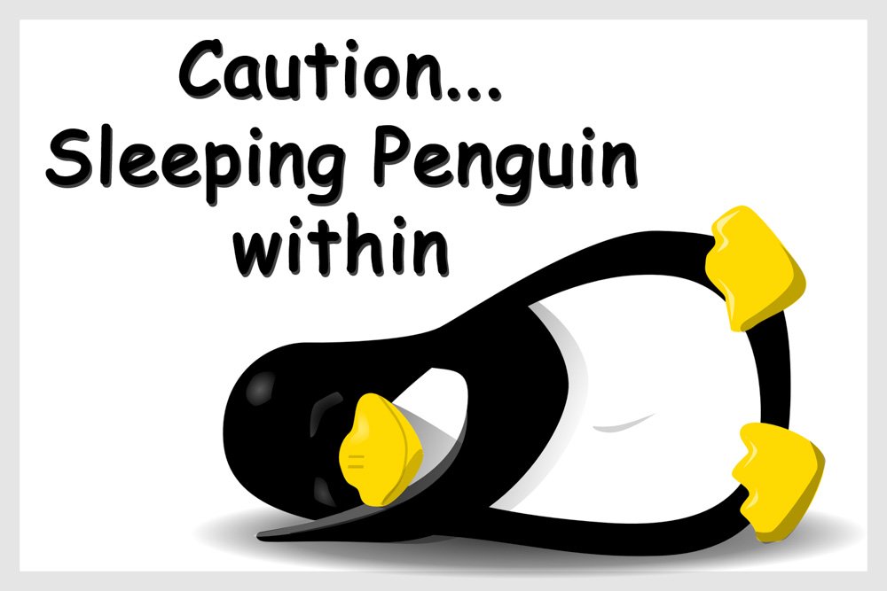 Countrystyle Gifts Funny Penguin Flexible Fridge Magnet Gift - Caution...Sleeping Penguin Within