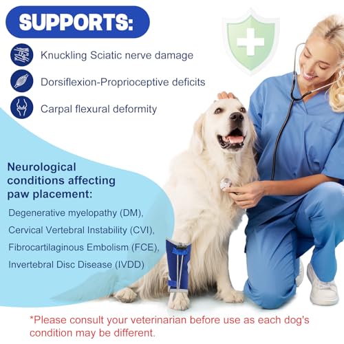 Image of Dog Knuckling Braces Wrap for Hyperflexion of Phalanges Cause by Sciatic Nerve Damage, Carpal Flexural Deformity - Dual Locking Straps for Safe Adjustable Toe Lift Support (Blue, X-Large)