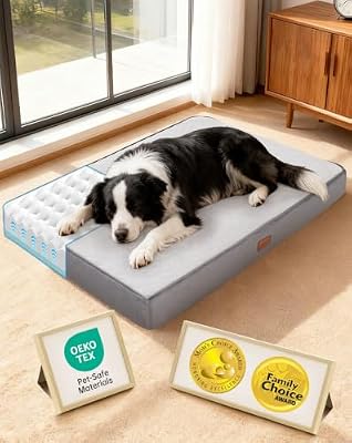OhGeni Orthopedic M-L Dog Bed, Reversible Memory Foam,36 inch(Gray)