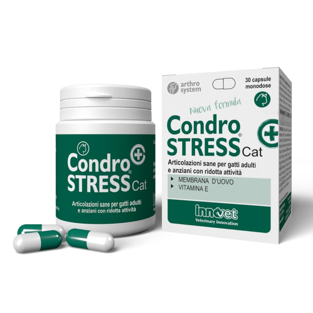 Innovet Condrostress (+) Cat, para gatos adultos y ancianos con rigidez articular, contra la osteoartritis, preserva la capacidad de movimiento, neutraliza los radicales libres, paquete de 30 cápsulas