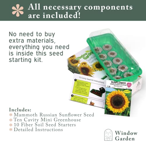 Mini Greenhouse Seed Starter Kit – 3-Pack Windowsill Greenhouse Kits (30 Cells Seed Starting Kit) Bundle With Mammoth Sunflower Grow Kit - Giant Sunflower Planting Seeds 10 Fiber Soil Seed Starters #TOP2
