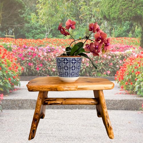 TJ Global Natural Edge Cedar Wood Tree Stump Indoor/Outdoor Stool, Garden Bench, Night Stand, End Table, Plant Stand - L28 x W14 x H17.5