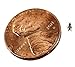 Josh's Frogs Pinhead Banded Crickets (500 Count)