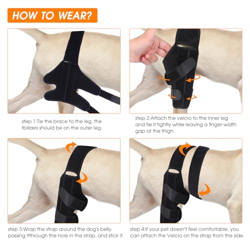 Image of Dog Knee Brace,Adjustable Dogs Rear Leg Braces for ACL with Cruciate Ligament Injury,Reduces Joint Pain and Muscle Sore Inflammation. (S)