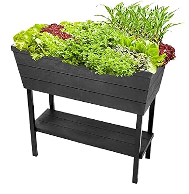 Keter Urban Bloomer 12.7 Gallon Raised Garden Bed and Outdoor Herb Garden Planter with Self Watering Gauge and Drainage Plug, Dark Grey