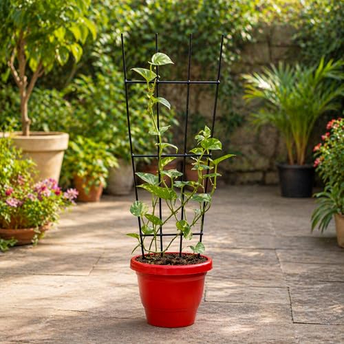 Image of Urban Plant Greenweave Plant Trellis - Durable Support for Climbing Plants, Vines, and Creepers, Ideal for Indoor and Outdoor Gardening Use Black (Pack of 3)