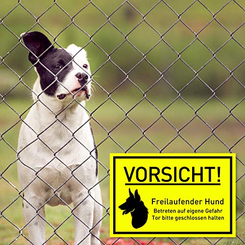 Vorsicht Hund Schild (30x20 cm Kunststoff) - Hundeschilder - Warnung vor dem Hund Schilder - Hundeschild Wetterfest - Hundewarnschilder - Achtung bissiger Hund (Neongelb) - Schäferhund