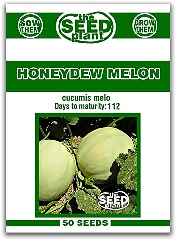 Honeydew Melon Seeds - 50 Seeds Non-GMO