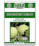 Honeydew Melon Seeds - 50 Seeds Non-GMO