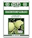 Honeydew Melon Seeds - 50 Seeds NON-GMO