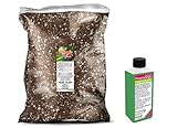 frangipani tattoo Set bestehend aus 10 Liter Spezial - Substrat für Plumeria / Frangipani / Tempelbaum und darauf abgestimmten, phosphatbetonten Spezialdünger für Plumerien.