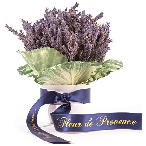 ROSEMARIE SCHULZ Heidelberg Infinity Dry Blumenbox Flowerbox Lavendel getrocknet aus der Provence Trockenblumen Ernte August 2022 Cover