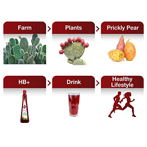Image of HB+ Prickly Pear Fruit Juice for Healthy Pregnancy & Chemotherapy, No Added Sugar, Sweetened with Stevia, Red, (Pack of 4)