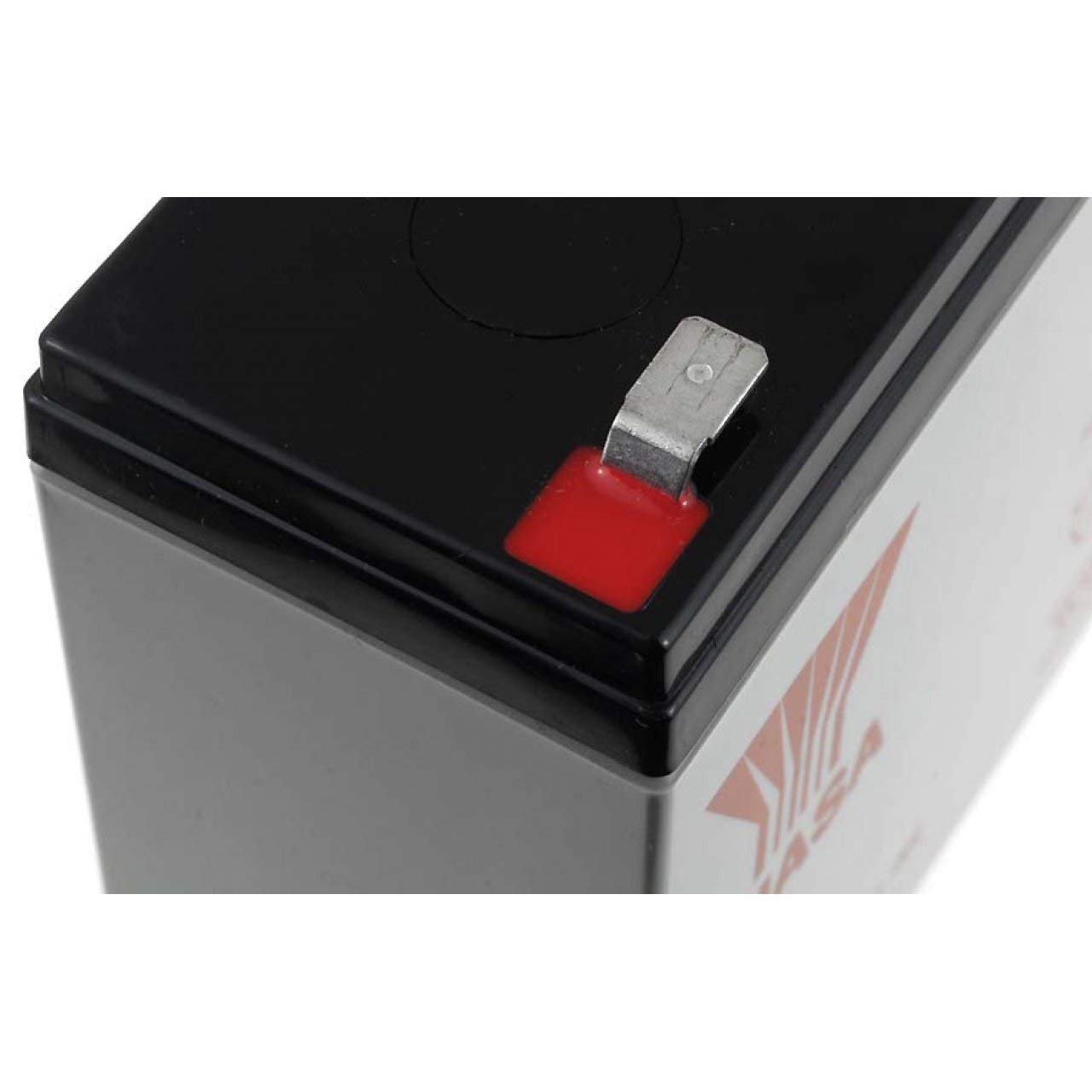 Yuasa Batterie au Plomb Rechargeable NP12-6 VDS