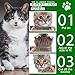ZORTVUL 3 Stück Flohhalsband für Katzen,Flohhalsband Hunde Klein,Zecken Flohschutz Halsband,Zeckenhalsband für Katzen,Zecken Flohband Katze,Floh Zeckenhalsband für Hunde und Katzen