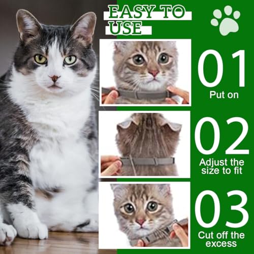 ZORTVUL 3 Stück Flohhalsband für Katzen,Flohhalsband Hunde Klein,Zecken Flohschutz Halsband,Zeckenhalsband für Katzen,Zecken Flohband Katze,Floh Zeckenhalsband für Hunde und Katzen