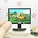 Produktbild rycnet Miniatur-LCD-TV-Modell für Puppenhaus, Maßstab 1:12, Schwarz