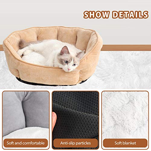 PETCUTE Cuccia per Cane da Interno Lavabile