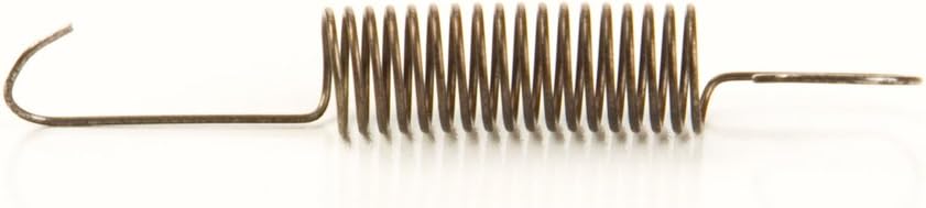 Briggs & Stratton 790220 Governor Spring Replacement Part