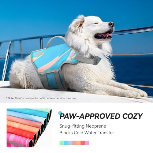 VIVAGLORY Neoprene Dog Life Jacket, Dog Buoyancy Aid for Swimming & Boating, Life Vest with Handle, Lightweight & Buoyancy for Doggy, XS, Teal