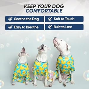 Tooth and Honey Pit Bull Pajamas/Rubber Duck Print/Lightweight Pullover Pajamas/Full Coverage Dog pjs/Yellow with Grey Trim Tooth and Honey Pit Bull PajamasRubber Duck PrintLightweight Pullover PajamasFull Coverage Dog pjsYellow with Grey Trim
