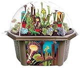 Carnivorous Plant Growing Kit – Grow Venus Fly Trap, Sundew, & Pitcher Plants in a Terrarium Biosphere