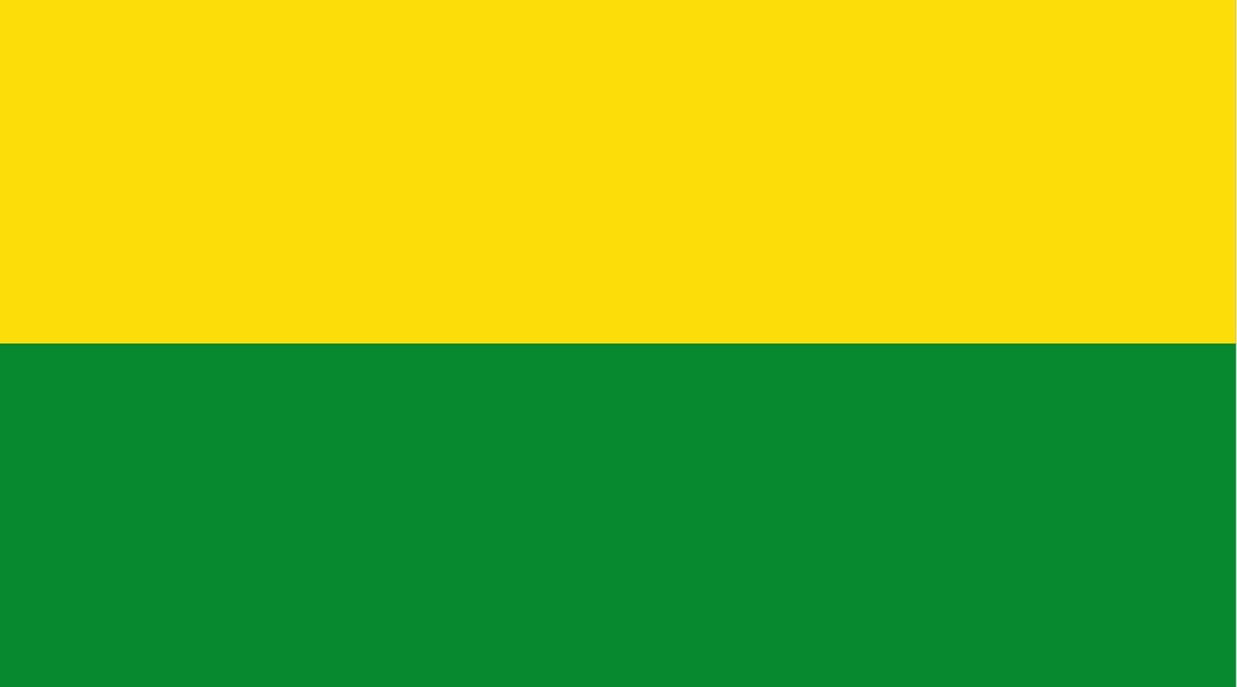 Drapeau Tadó Chocó pavillon grand format pour mât extérieur et intérieur
