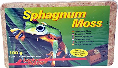 Lucky Reptile Mech Sphagnum - 100g mchu do terrarium gadów - Mech do terrarium dla większej wilgotności powietrza - Mech z kontrolowanych upraw do storczyków i bromelii -Akcesoria dla gadów