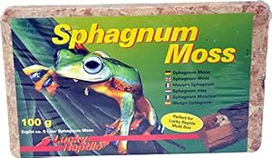 Lucky Reptile Sphagnum Moos Ziegel 5 Liter