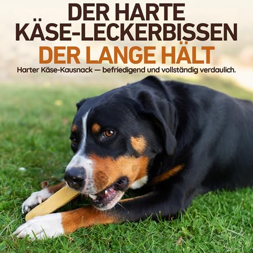 Wildfang® Yak-Kausnacks für Hunde, XS (ca. 21 g) – Himalaya Yak-Käse Hundekaustangen, Natürliche Hundeleckerlis, Welpen-Beißspielzeug, Harte Churpi-Dentalsticks für Hunde unter 10 kg, 1er-Pack