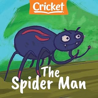 The Spider Man copertina