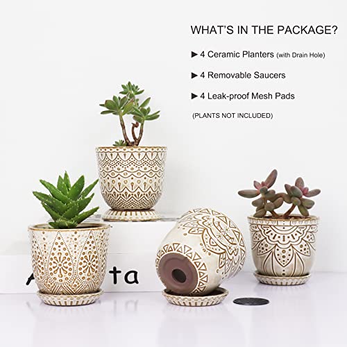 Pots de fleurs anti pourrissement racines succulentes Gepege - 4