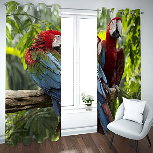 Rideaux Occultants Opaque Draperies Haut de Gamme 225 cm - 4