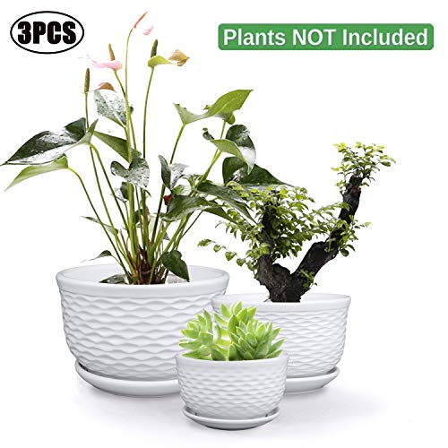 Ufrount White Ceramic Planter Pot with Drainage Holes, Succulent Planter Pots Planting Pot Flower Pots for Mini Plant Perfect for Garden, Kitchen, Windowsill - Set of 3 (3 Sizes) - Thumbnail 6