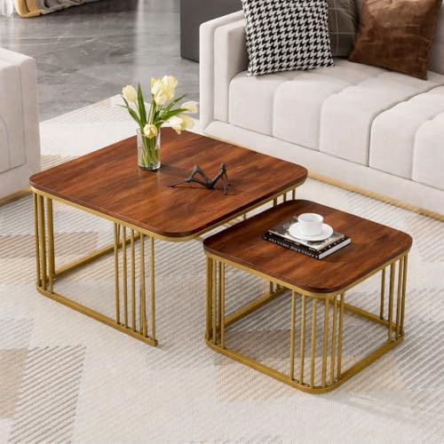 Image of Brown Art SHOPPEE Square Coffee Table Home Decor Furniture Coffee Table Sets,2 Piece MDF Top,Stacking Nesting Table with Iron Frame for Living Room Living Room or Lounge (Gold &Brown)