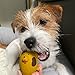 Lanco 8424678001947 Hund Ei; 100% Naturkautschuk