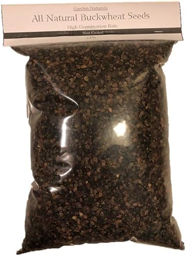Semillas de trigo natural de 5 libras de Garden Naturals