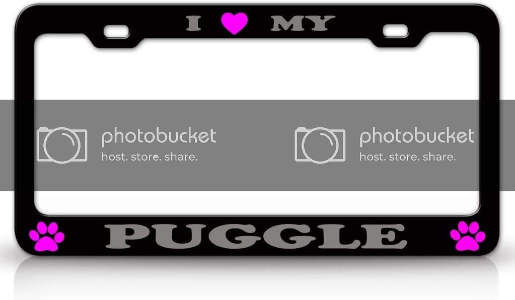 I Love My Puggle Dog Pet Animal Metal Car SUV Truck License Plate Frame Bl y2