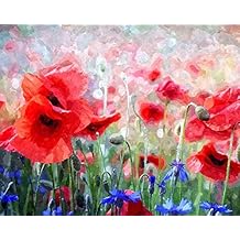 Red Poppies and Blue Cornflowers - Paint by Number Kit - 16"x20" 40x50cm - DIY Acrylic Painting Home Decor