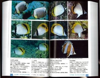 日本の海水魚 (山溪ハンディ図鑑) | 吉野 雄輔, 瀬能 宏 |本 | 通販