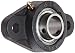Hub City FB260URX1 Flange Block Mounted Bearing, 2 Bolt, Normal Duty, Relube, Setscrew Locking Collar, Narrow Inner Race, Cast Iron Housing, 1" Bore, 1.402" Length Through Bore, 3.89" Mounting Hole Spacing