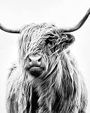 KOOUEET Diamond Painting Kits for Adults, Large Size Highland Cattle Cow Diamond Art Paintings Kit f