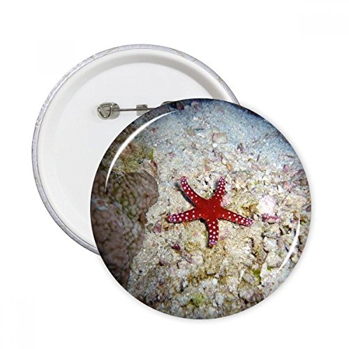 Badge bouton rond étoile de mer idée cadeau décoration originale pour passionnés d'océan