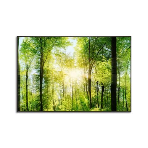 森林 アートパネル 太陽 ポスター 風景写真 木の絵 インテリア 日光 森の風景 絵 玄関 お風呂 開運 装飾画 アルミ合金フレーム (C,70x100cm(28x40in))