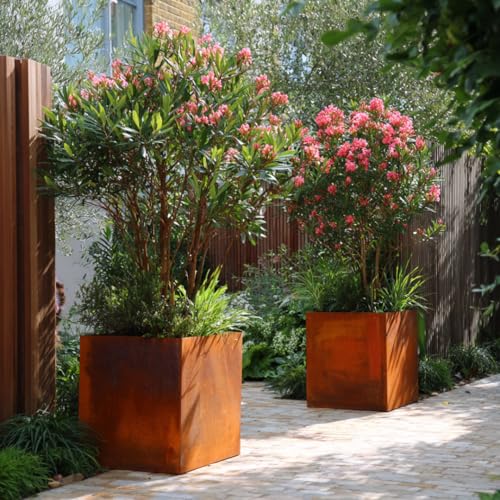 Czaja Cortenstahl Pflanzkübel 60x60x60 cm Fiorella mit Bodenplatte - Made in Germany - Rost Deko Blumenkübel quadratisch – wetterfest & langlebig – Garten Terrasse Balkon – Edelrost Pflanzgefäß